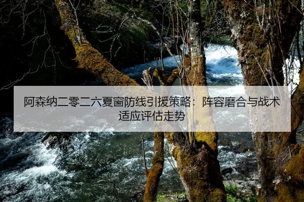 阿森纳二零二六夏窗防线引援策略：阵容磨合与战术适应评估走势